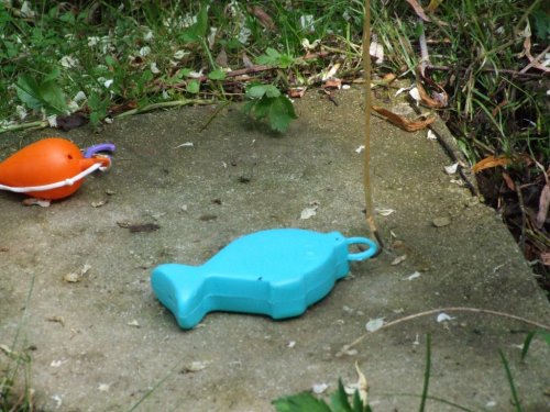 Dětský den - 1.6.2008